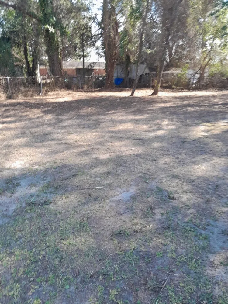 Professional lawn mowing service in Fayetteville, NC - Margaret Lawn Service