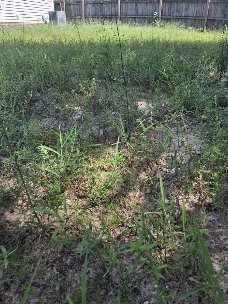 Trusted outdoor landscaping in Fayetteville, NC - Margaret Lawn Service