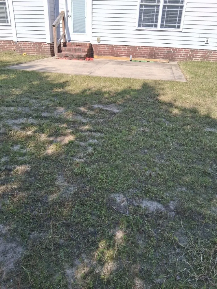 Affordable outdoor landscaping in Fayetteville, NC by Margaret Lawn Service