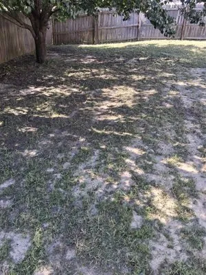 Margaret Lawn Service Logo