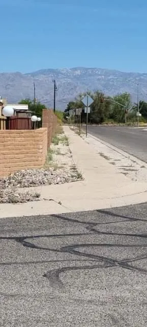 Professional yard maintenance for year-round maintenance in Tucson, AZ by Margaritas Landscaping and Yard Work