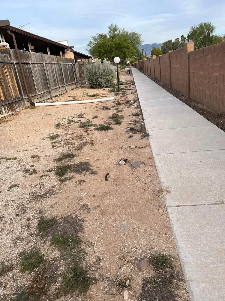 Top-rated yard cleanup service experts serving Tucson, AZ - Margaritas Landscaping and Yard Work