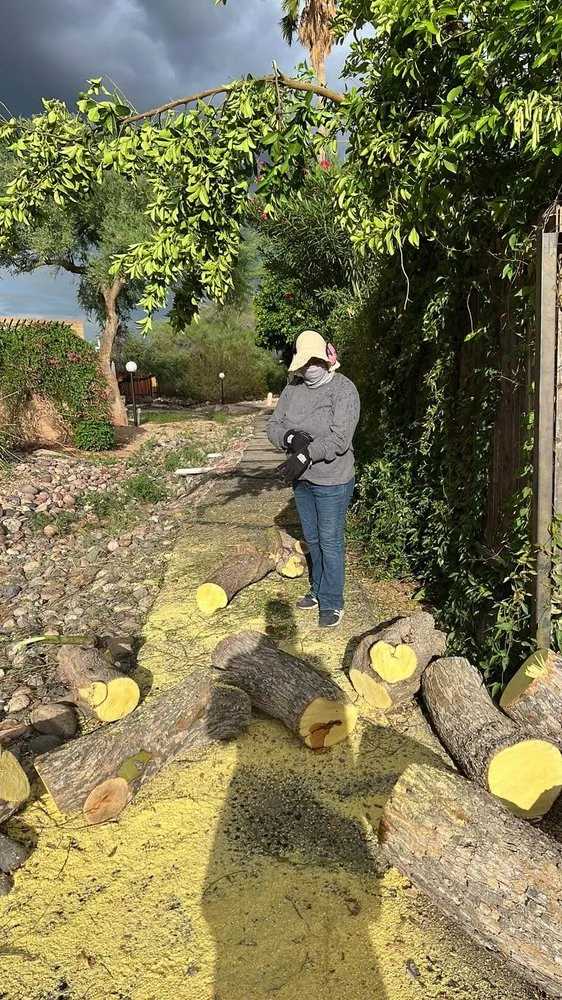 Local outdoor landscaping with custom design across Tucson, AZ - Margaritas Landscaping and Yard Work