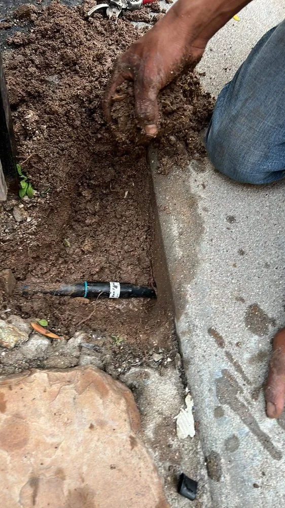 Affordable garden landscaping experts serving Tucson, AZ - Margaritas Landscaping and Yard Work