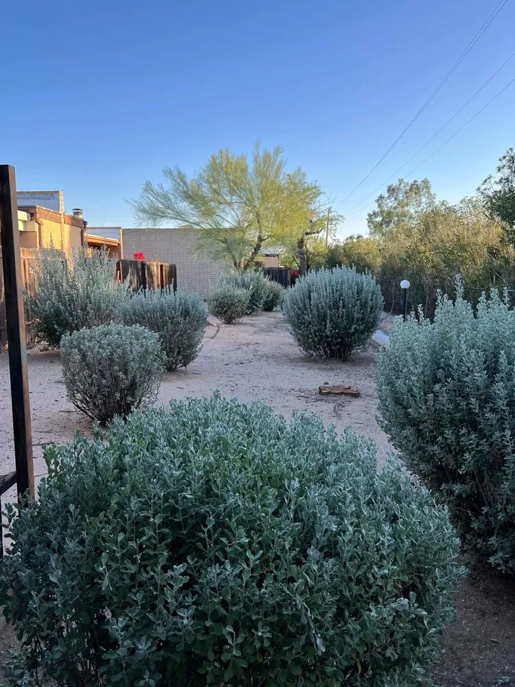 Expert lawn mowing service experts serving Tucson, AZ - Margaritas Landscaping and Yard Work