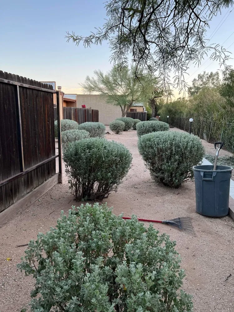 Local landscape installation near you across Tucson, AZ - Margaritas Landscaping and Yard Work