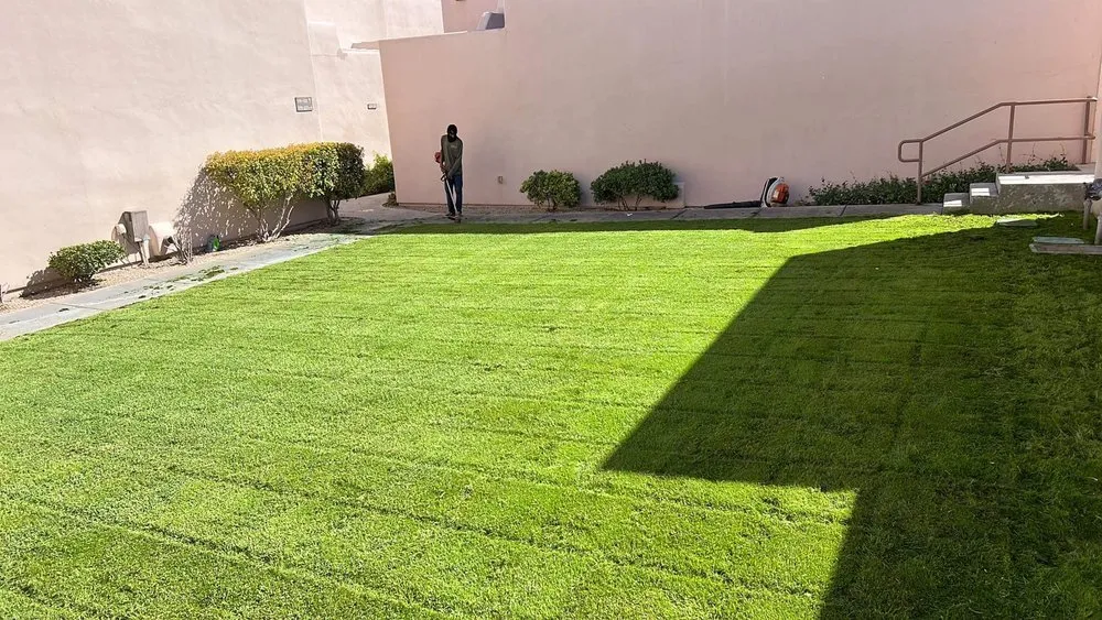 Local landscaping services in Tucson, AZ - Margaritas Landscaping and Yard Work