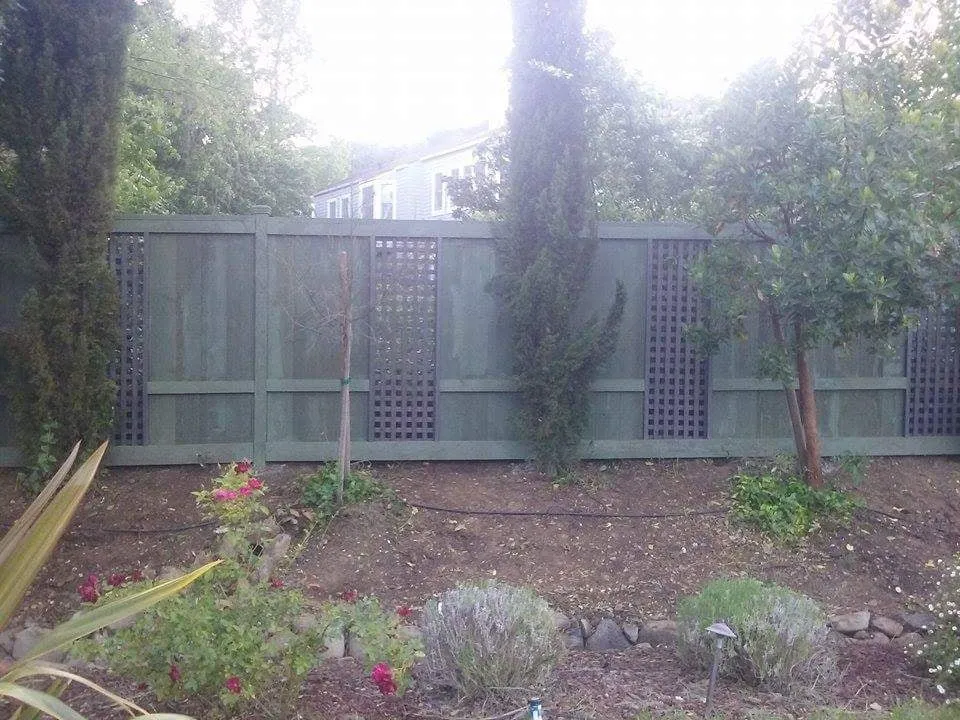 Professional landscape design in Richmond, CA by Margarito Samayoa Lanscaping