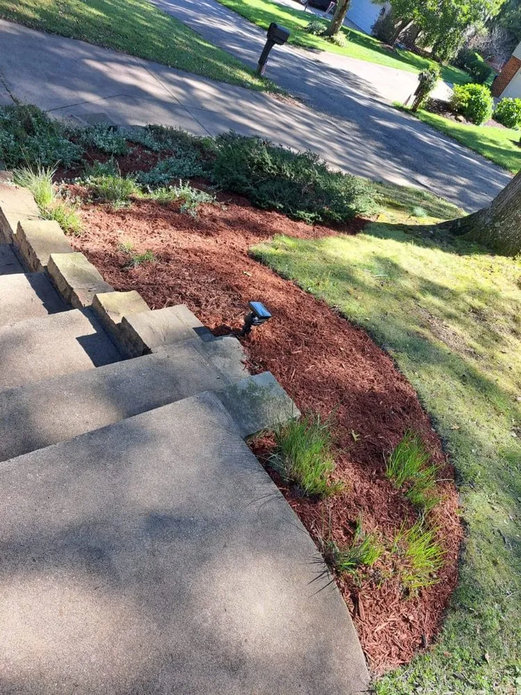 Affordable yard cleanup service in West Mifflin, PA by Margaritos General Contractor