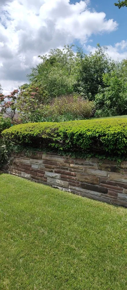 Custom lawn care service for year-round maintenance in West Mifflin, PA by Margaritos General Contractor