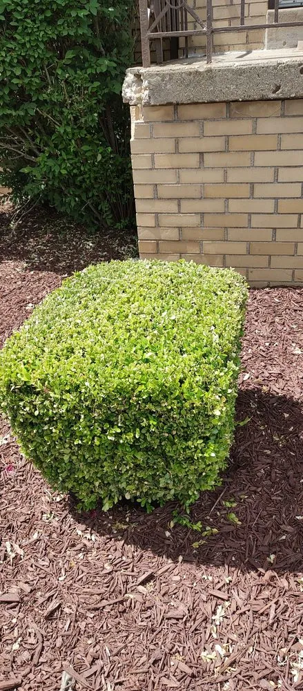 Affordable outdoor landscaping experts serving West Mifflin, PA - Margaritos General Contractor