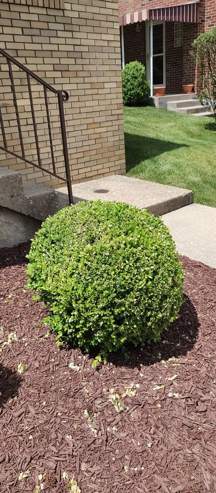 Trusted residential landscaping experts serving West Mifflin, PA - Margaritos General Contractor