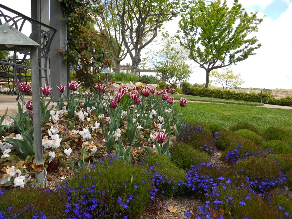Expert outdoor landscaping with custom design across Paso Robles, CA - Mari Landscaping
