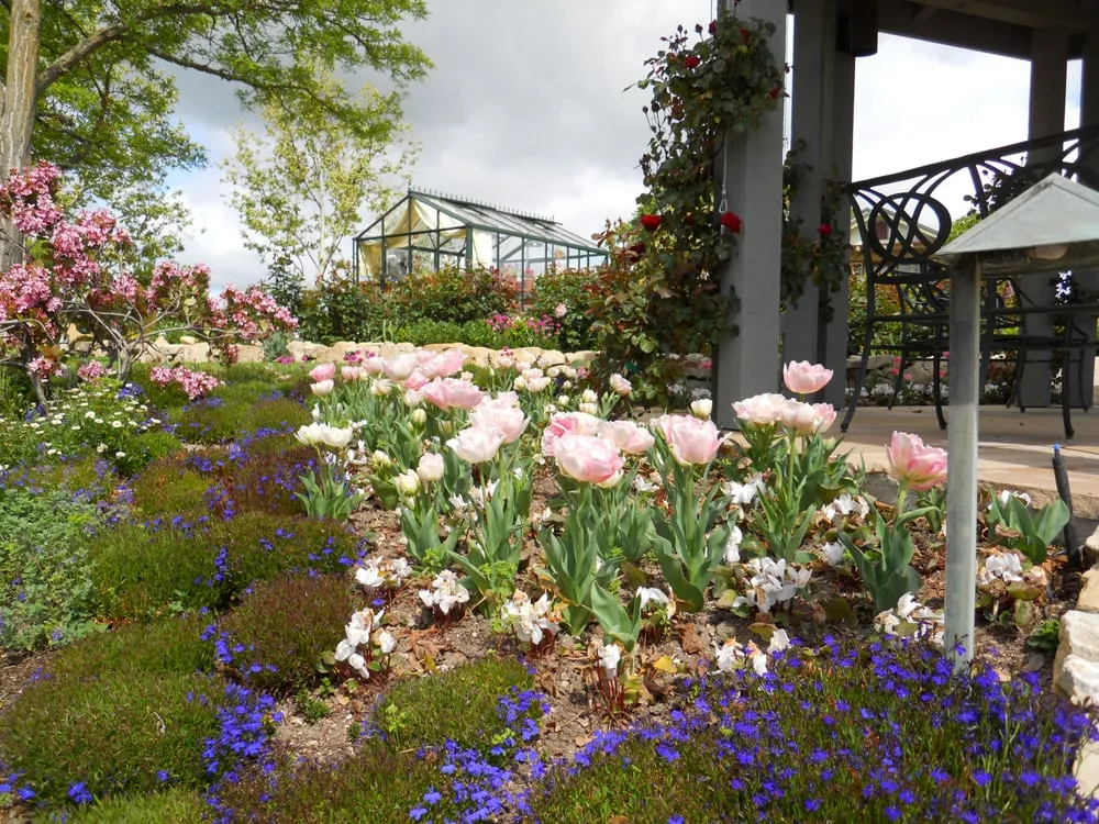 Professional landscape design for beautiful yards across Paso Robles, CA - Mari Landscaping