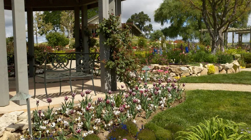 Expert outdoor landscaping in Paso Robles, CA by Mari Landscaping