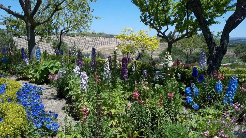 Affordable yard maintenance experts serving Paso Robles, CA - Mari Landscaping