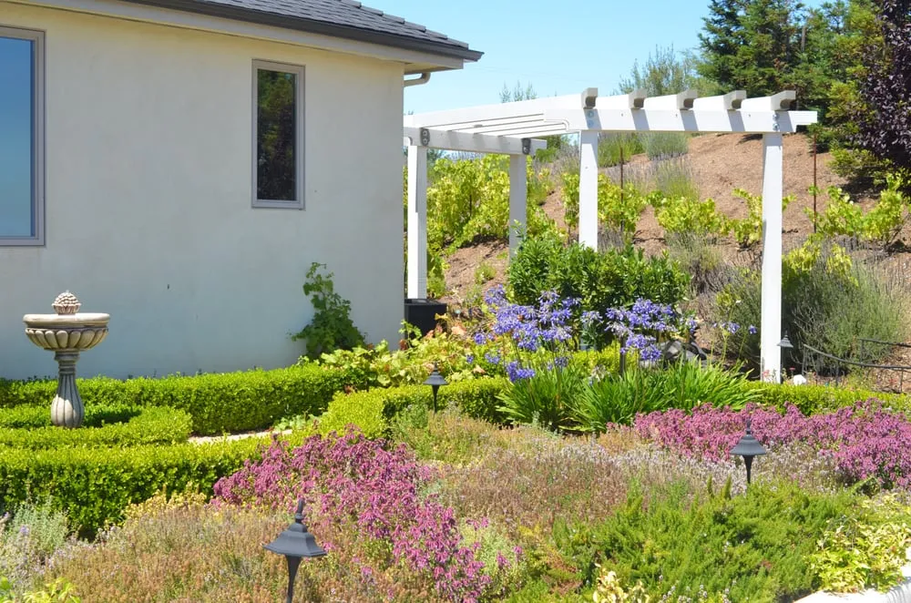 Trusted yard maintenance experts serving Paso Robles, CA - Mari Landscaping