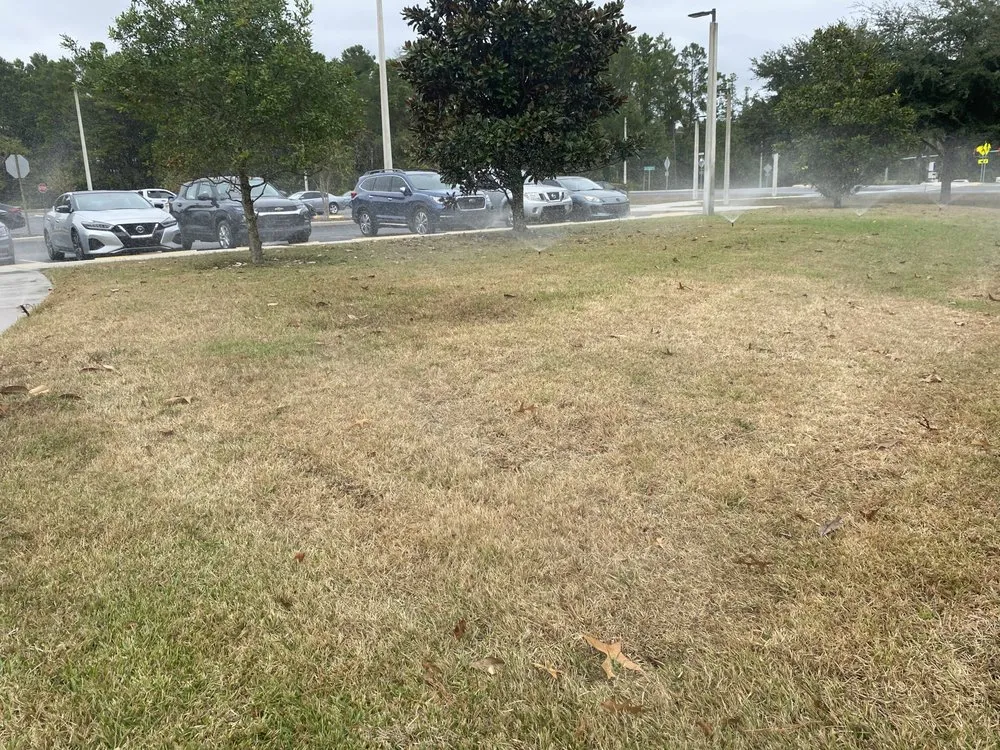 Professional landscaping services for outdoor upgrades in Ruskin, FL by Maria Antonio