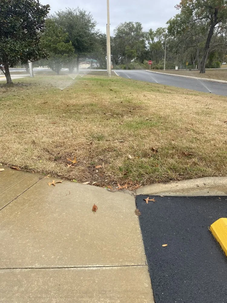 Expert landscape installation experts serving Ruskin, FL - Maria Antonio