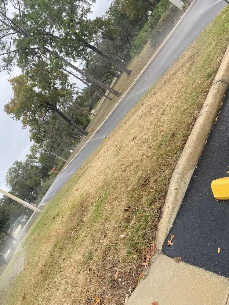 Custom lawn care service in Ruskin, FL - Maria Antonio