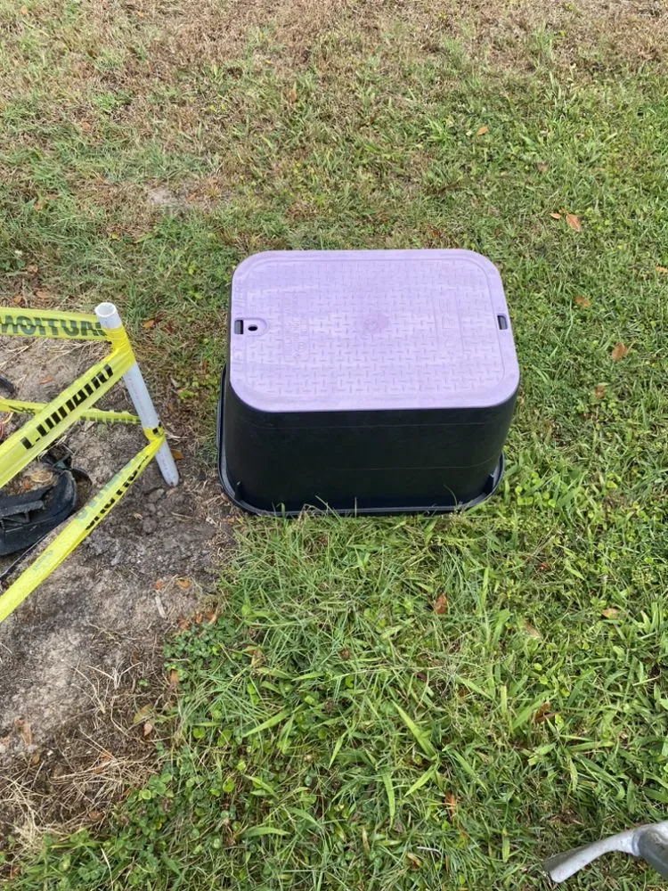 Professional yard cleanup service experts serving Ruskin, FL - Maria Antonio