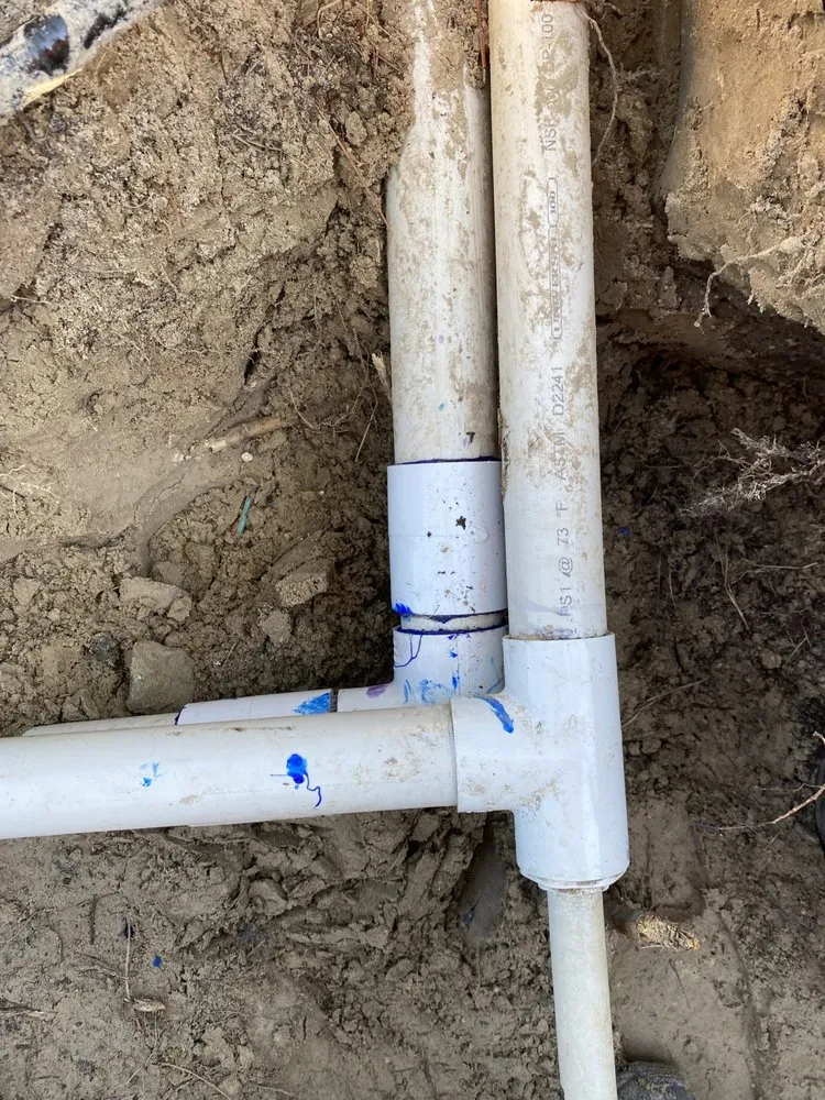 Expert yard maintenance in Ruskin, FL by Maria Antonio