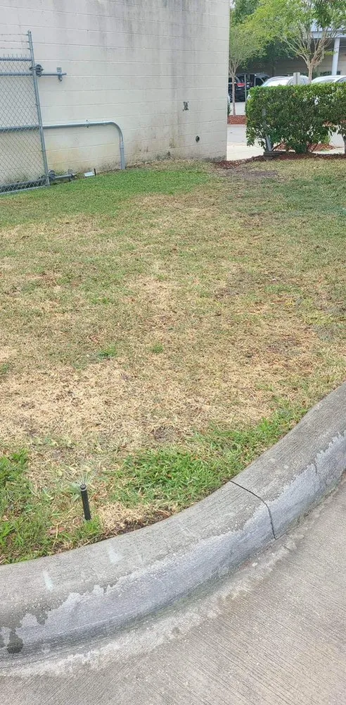 Local garden landscaping in Ruskin, FL by Maria Antonio