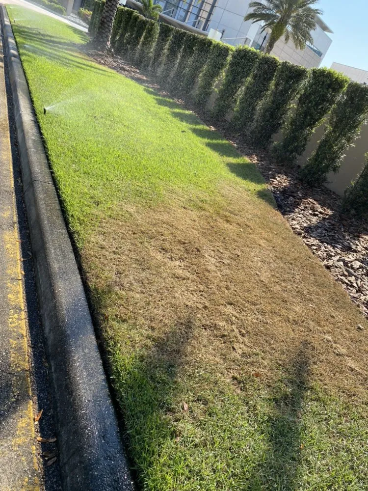Reliable residential landscaping near you in Ruskin, FL by Maria Antonio