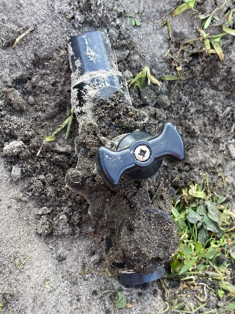 Expert landscape installation in Ruskin, FL by Maria Antonio