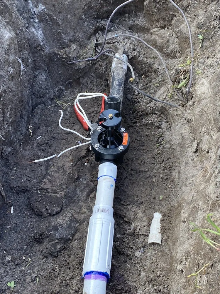 Top-rated yard cleanup service in Ruskin, FL by Maria Antonio