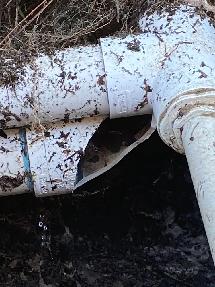 Custom landscape installation for outdoor upgrades across Ruskin, FL - Maria Antonio