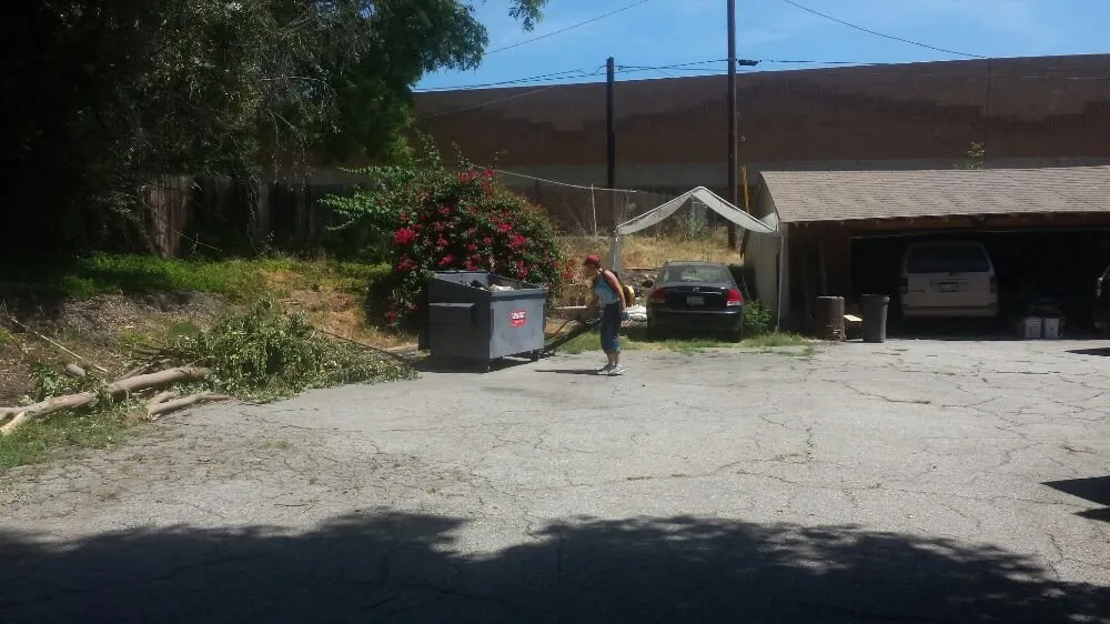 Local residential landscaping experts serving Cudahy, CA - Maria Cleaning Services and Landscaping