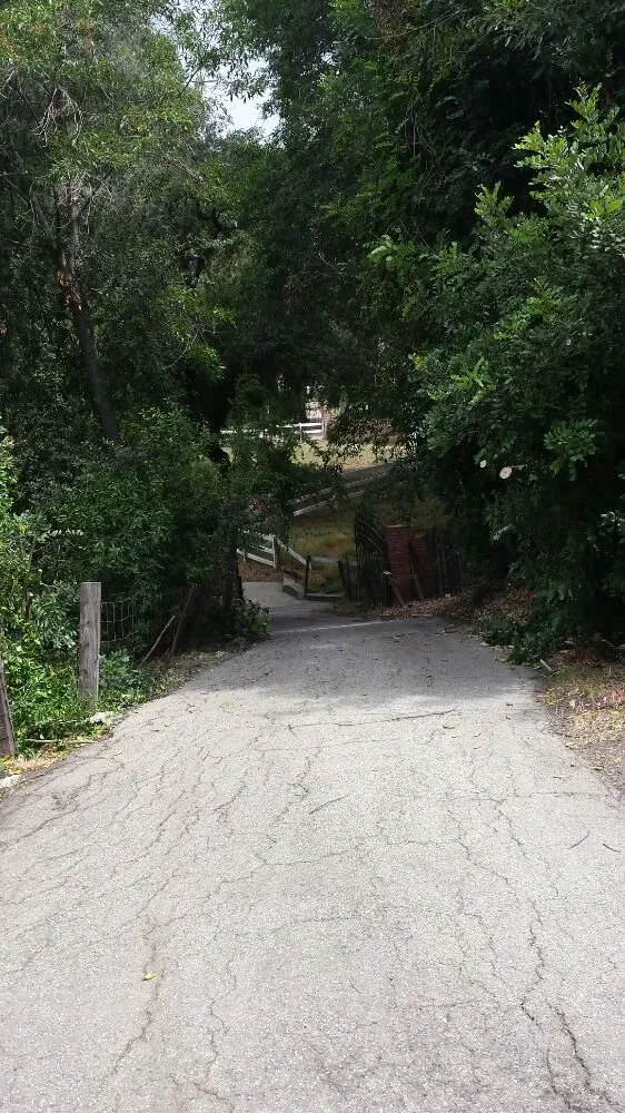 Expert lawn mowing service in Cudahy, CA - Maria Cleaning Services and Landscaping