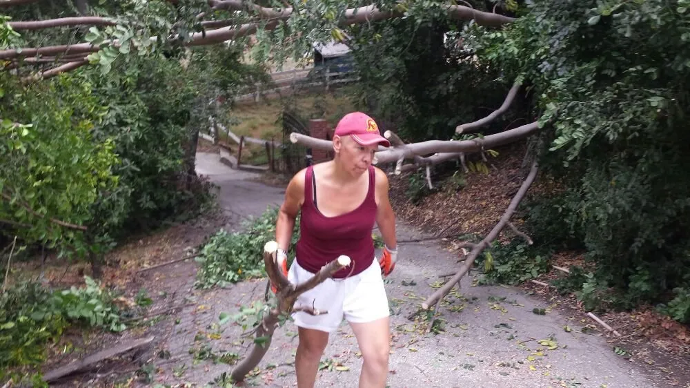 Custom outdoor landscaping for beautiful yards across Cudahy, CA - Maria Cleaning Services and Landscaping