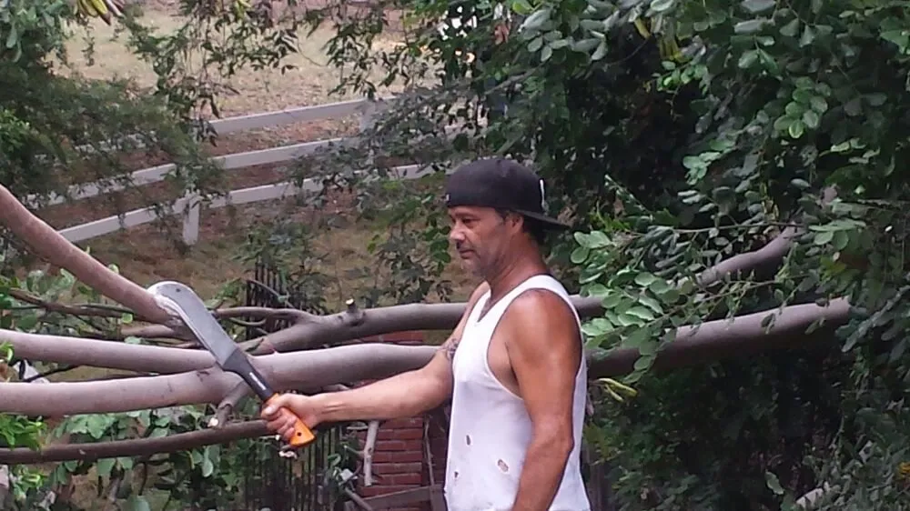 Affordable landscape design near you across Cudahy, CA - Maria Cleaning Services and Landscaping