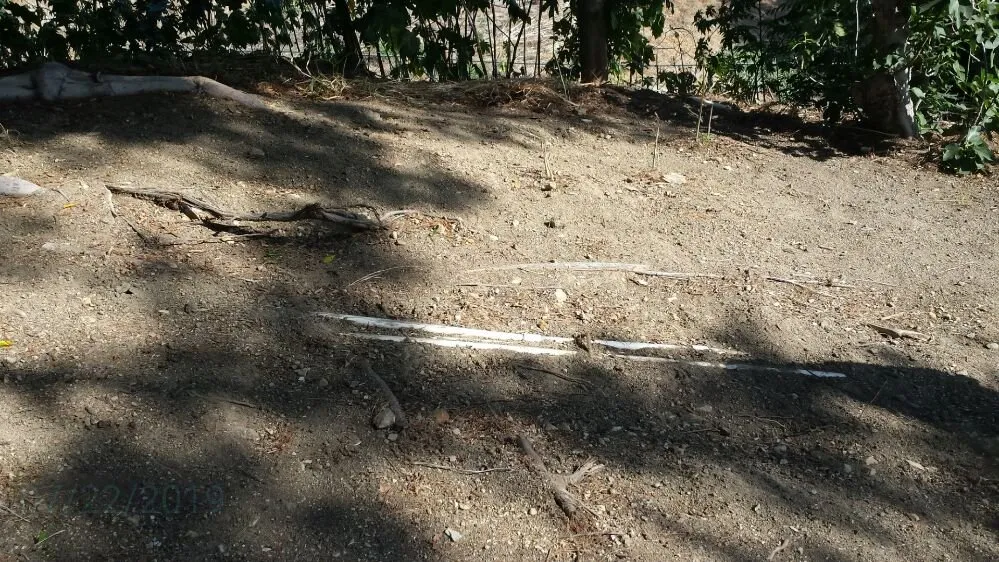 Professional landscaping services in Cudahy, CA - Maria Cleaning Services and Landscaping