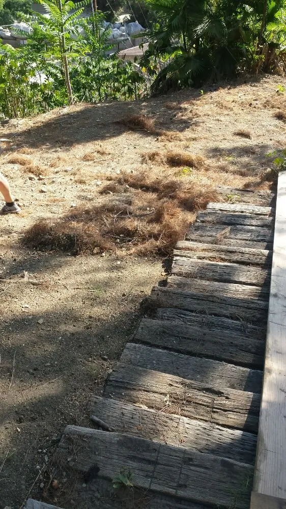 Custom yard cleanup service in Cudahy, CA - Maria Cleaning Services and Landscaping