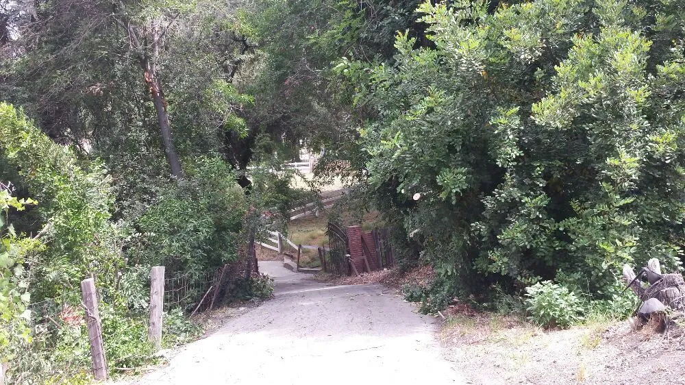 Expert yard maintenance in Cudahy, CA by Maria Cleaning Services and Landscaping