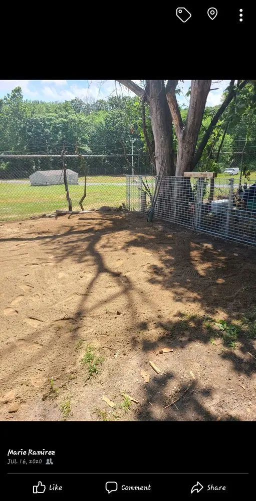 Trusted landscaping services experts serving Moosup, CT - Maria Does it All