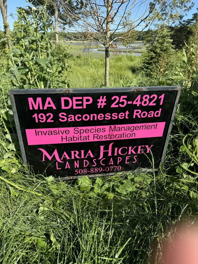 Affordable garden landscaping in Falmouth, MA - Maria Hickey & Associates