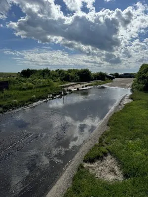 Maria Hickey & Associates