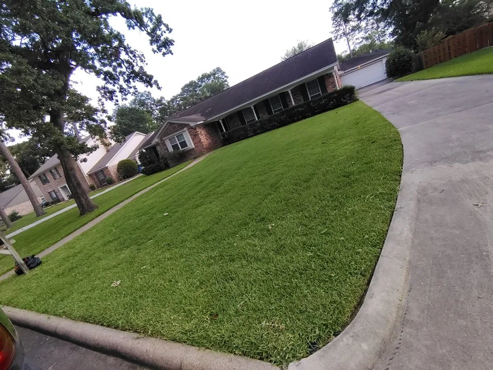 Affordable yard maintenance for homes across Klein, TX - Maria Mejia Landscaping Services