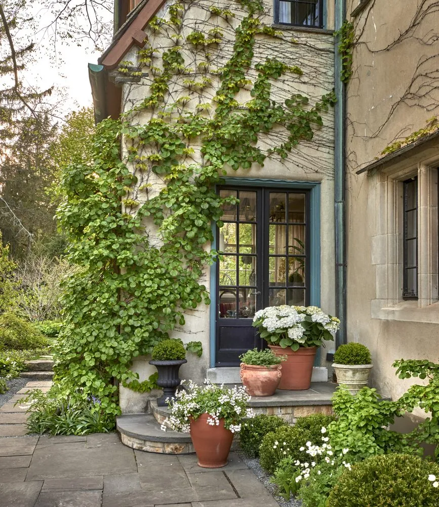 Top-rated landscaping services experts serving Lake Bluff, IL - Mariani