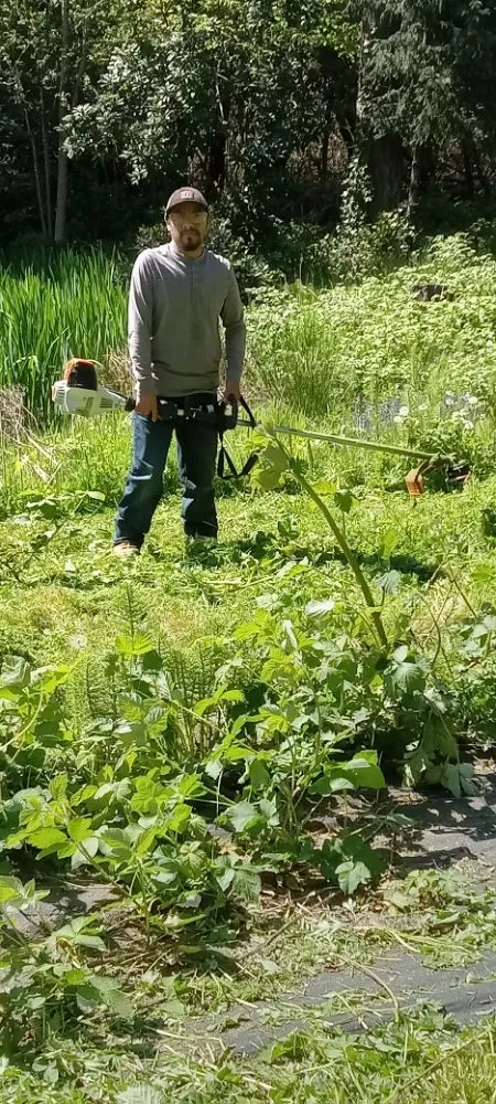 Professional landscape installation experts serving Bremerton, WA - Mariano Landscaping