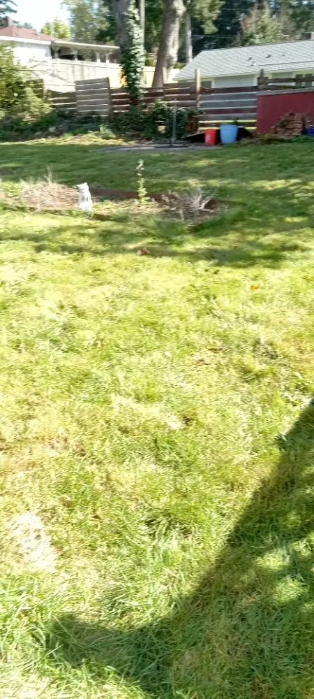 Custom lawn care service for residential properties across Bremerton, WA - Mariano Landscaping