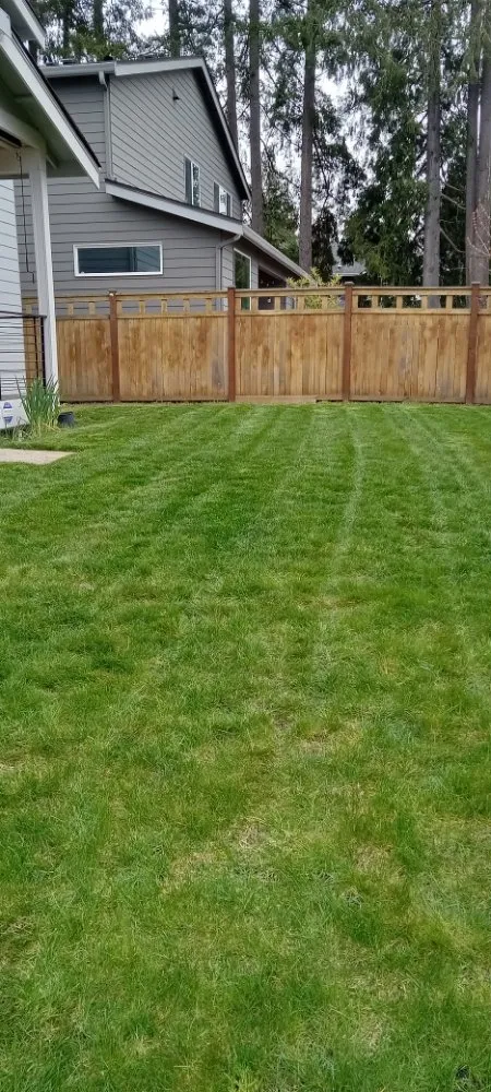 Trusted landscape installation in Bremerton, WA by Mariano Landscaping