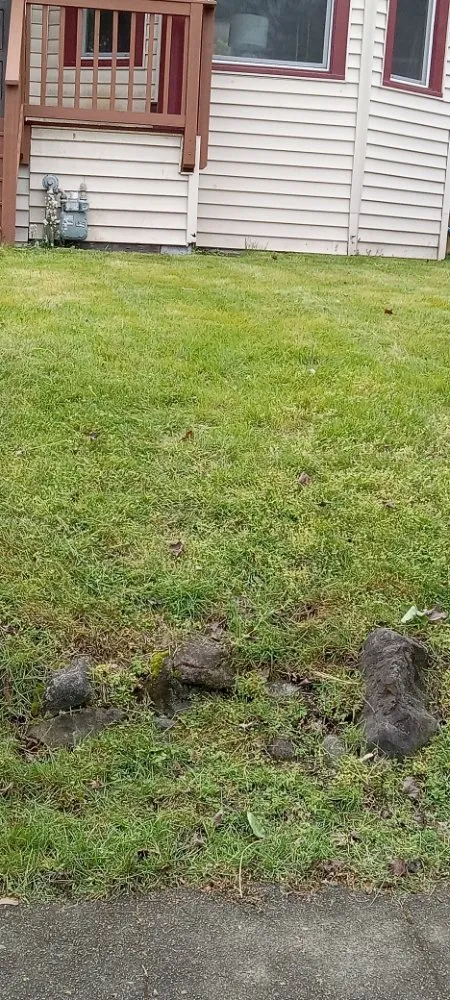 Top-rated lawn care service for year-round maintenance in Bremerton, WA by Mariano Landscaping