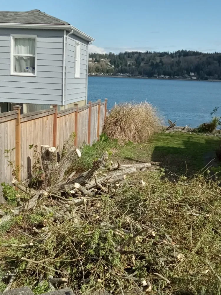 Reliable yard cleanup service experts serving Bremerton, WA - Mariano Landscaping