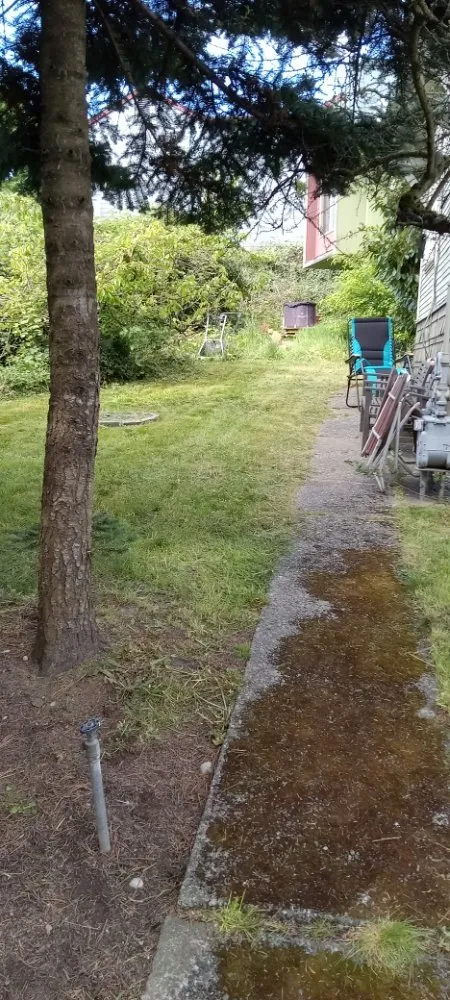 Trusted yard cleanup service experts serving Bremerton, WA - Mariano Landscaping