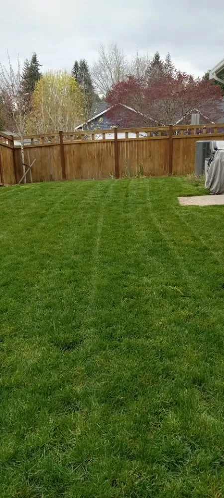 Reliable landscaping services in Bremerton, WA by Mariano Landscaping